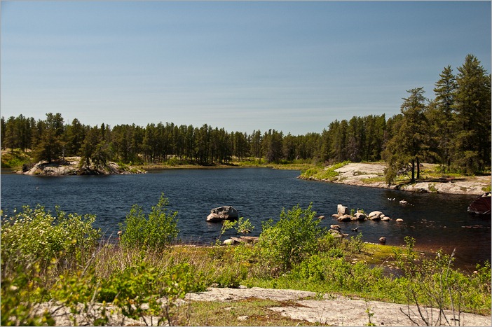 Just nature Just nature