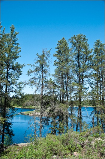 Non retouched picture Non retouched picture