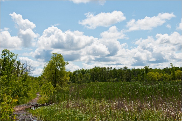 Too wet for our taste Too wet for our taste