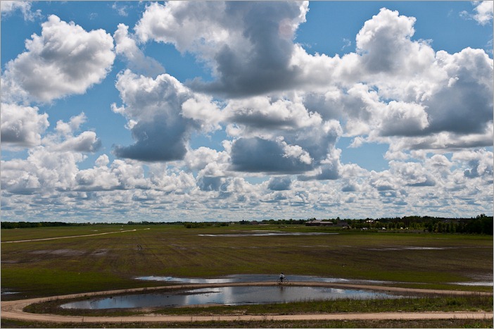 Fort Whyte Alive and swimming Fort Whyte Alive and swimming