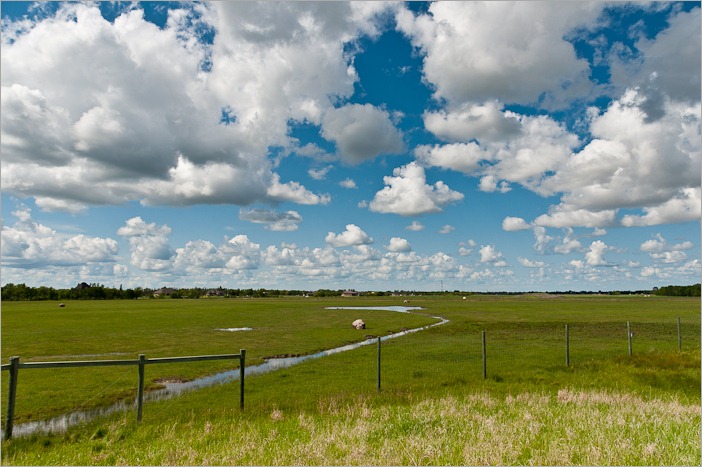 View from the bison mound in Fort Whyte View from the bison mound in Fort Whyte