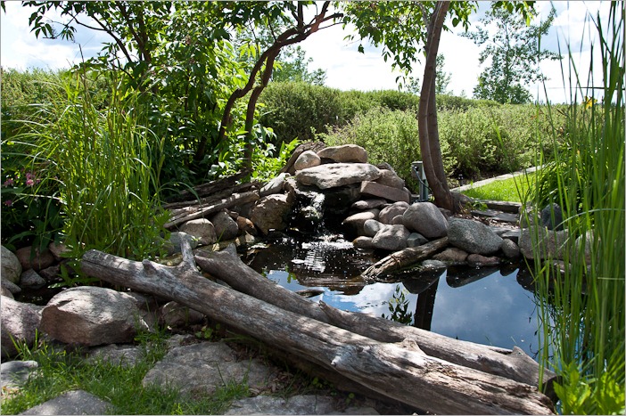 Little waterfall Little waterfall