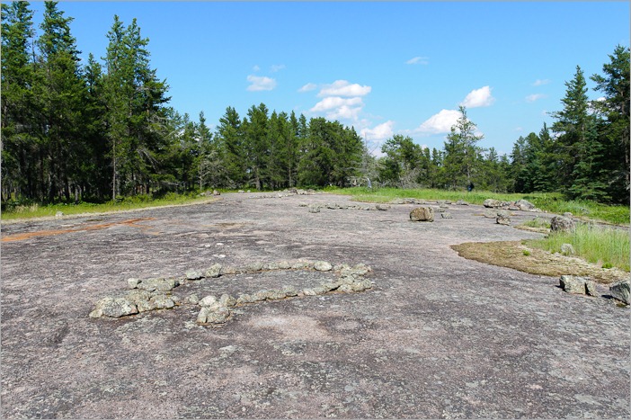 Turtle petroform Turtle petroform