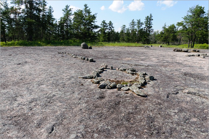 Snake and turtle Snake and turtle