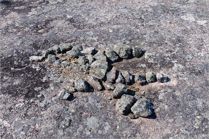 Animal petroform Animal petroform