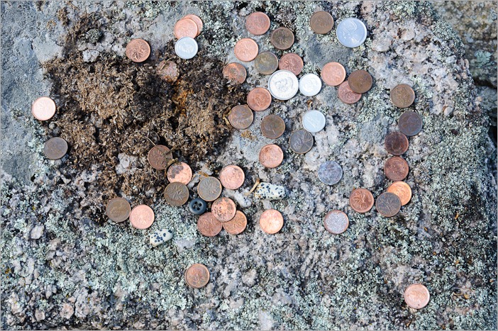 More offerings More offerings