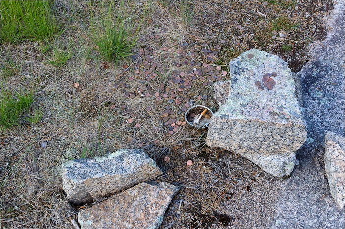 More offerings More offerings