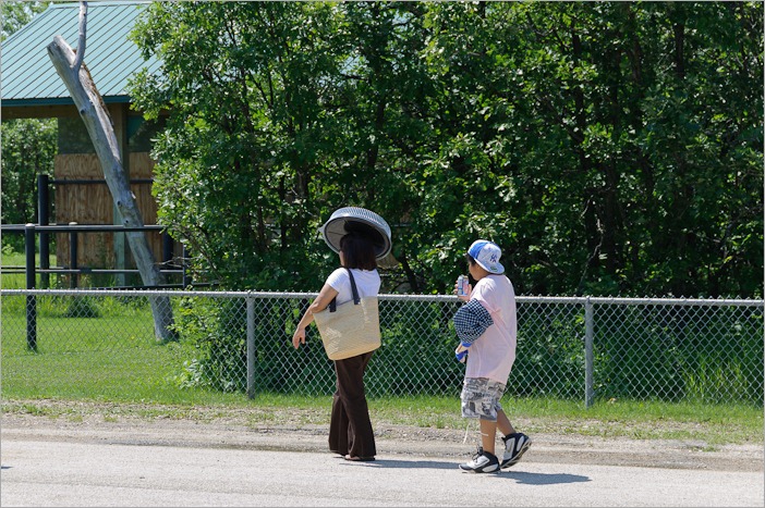 Hat/Cake-box Hat/Cake-box
