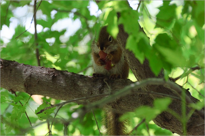 Bon Appétit! Bon Appétit!