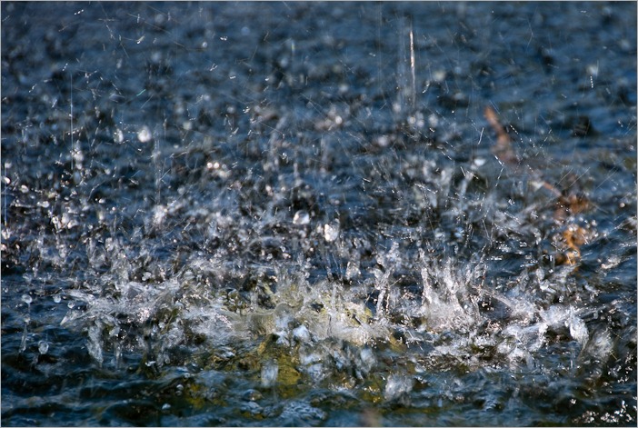  Water reflected in itself