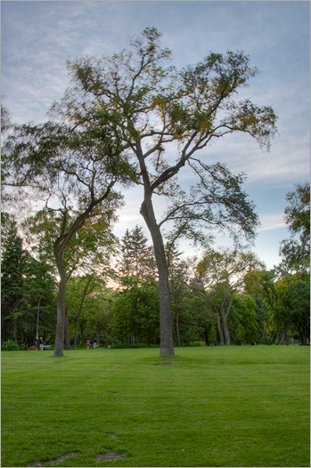 Fluffy HDR Fluffy HDR