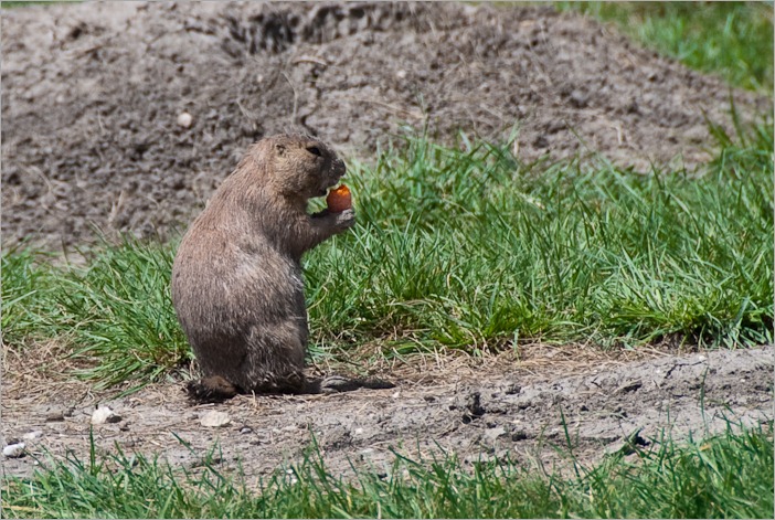 Having a little snack Having a little snack