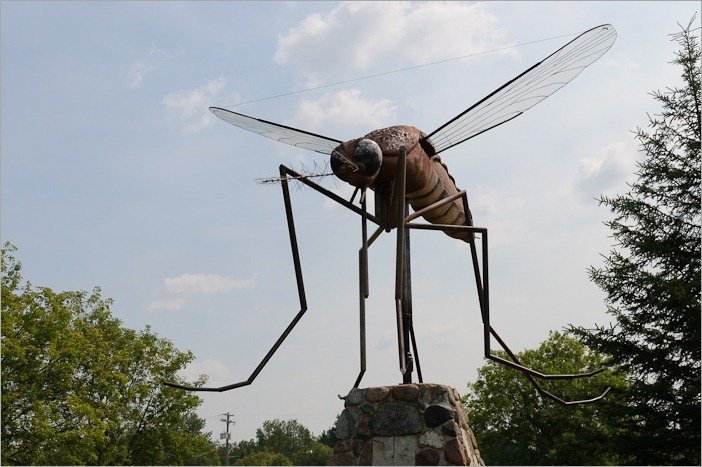 Giant mosquito in Komarno, MB Giant mosquito in Komarno, MB