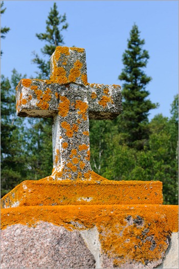 Colourful cross Colourful cross