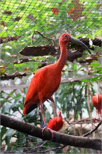 Taken through the bars Taken through the bars