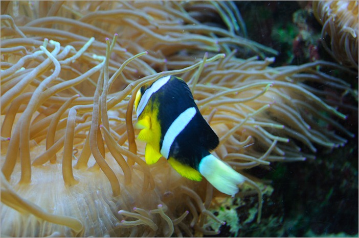 Unbalanced light Unbalanced light