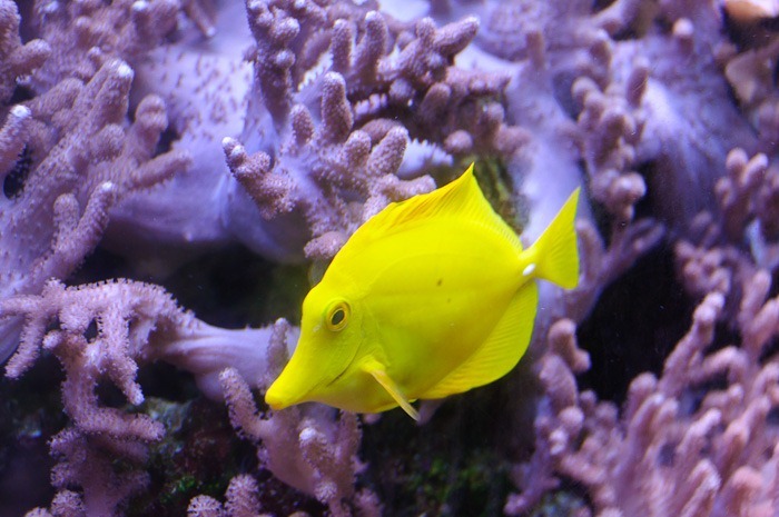 Lantern in the dark Lantern in the dark