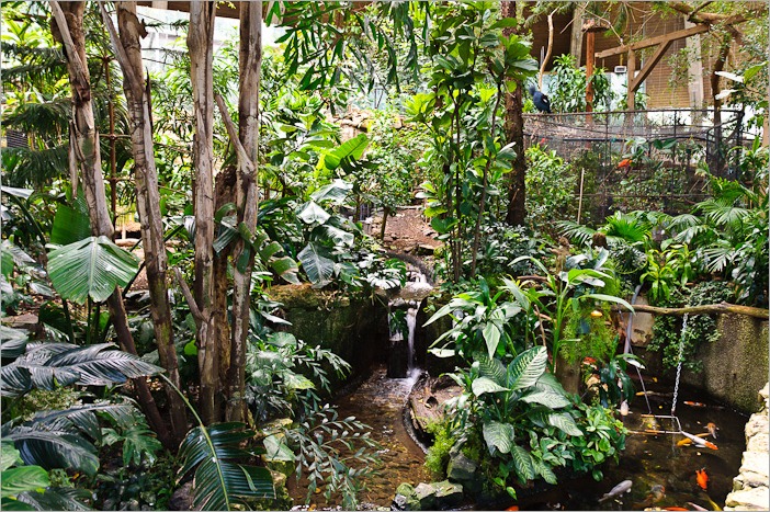 Tropical view Tropical view