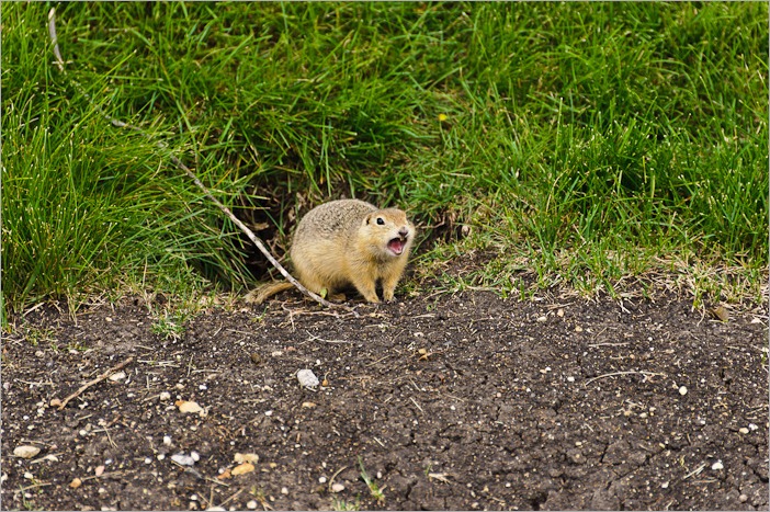 Don’t yell at me Don’t yell at me