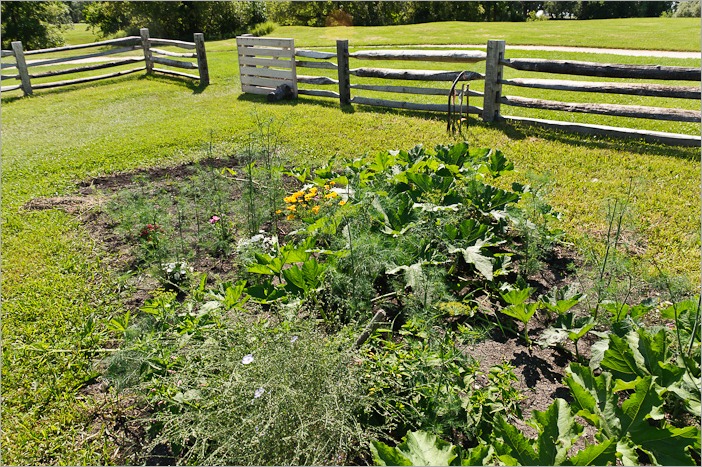 Harvest soon Harvest soon