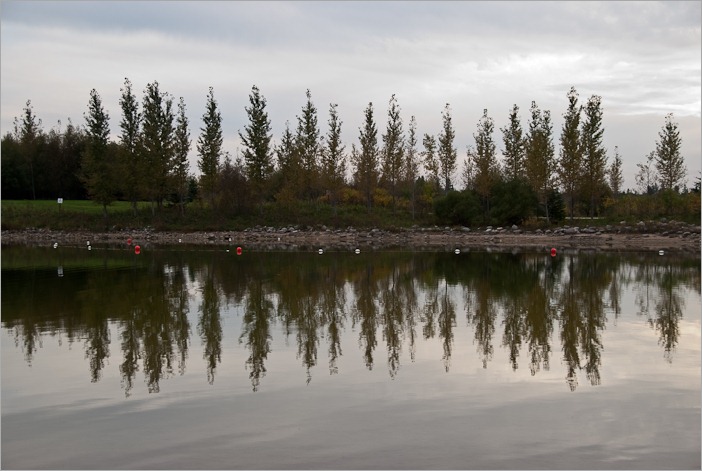  Early fall in Birds Hill park