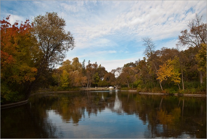 Duck Pond in Assiniboine Park