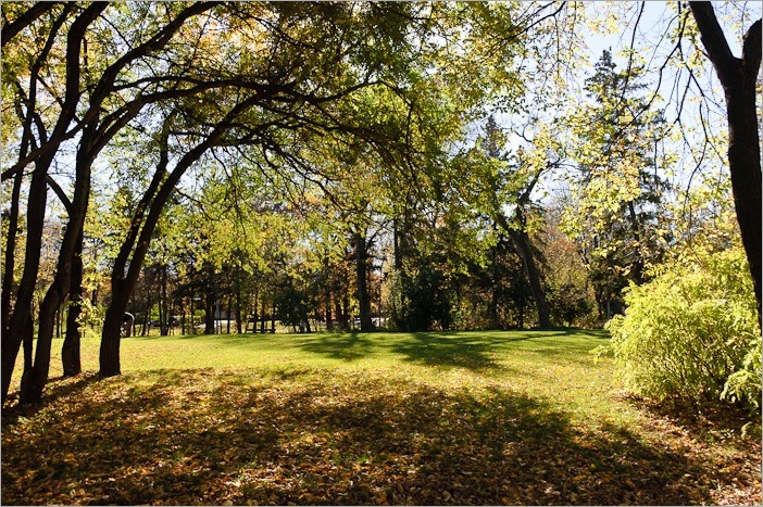 Last green of the year Last green of the year