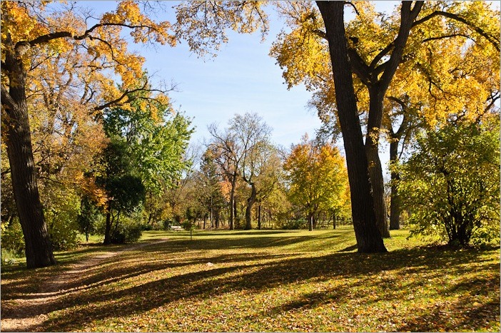 Fall colors Fall colors