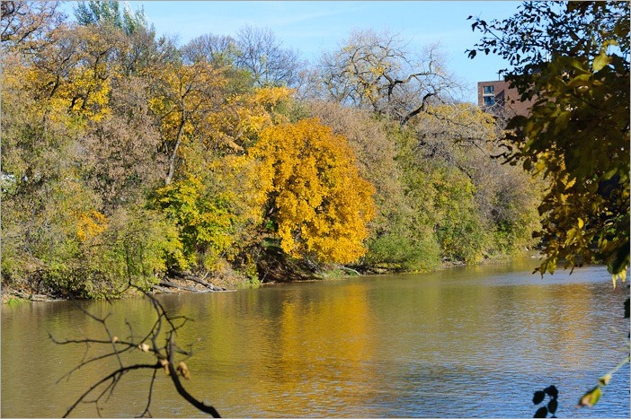 The Assiniboine river The Assiniboine river