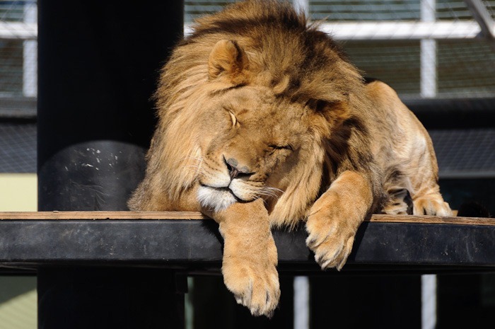 No sleeping troubles No sleeping troubles