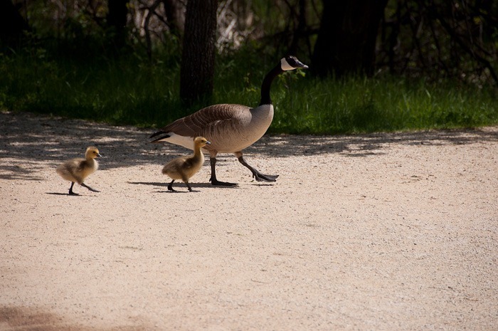 Just starting Just starting