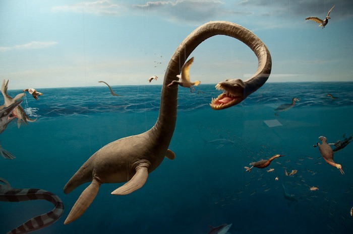 Ancient forefathers Ancient forefathers