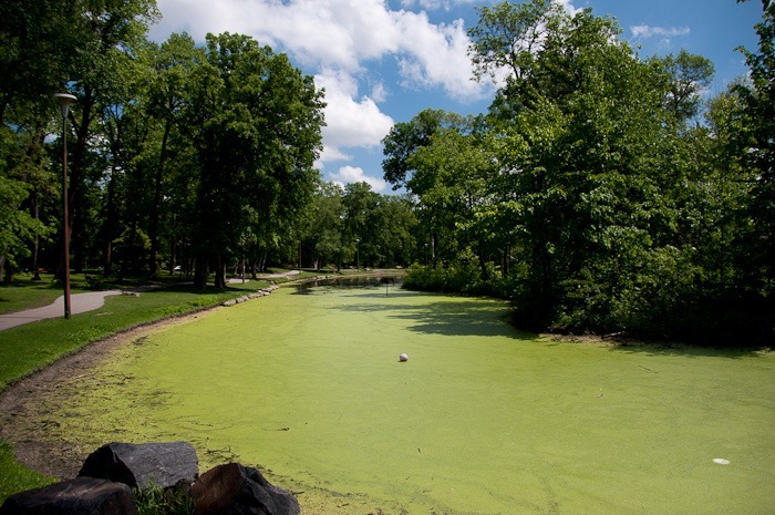 Anyone for playing ball? Anyone for playing ball?