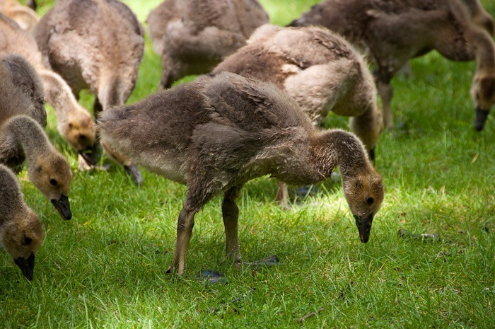 Taking shape Taking shape