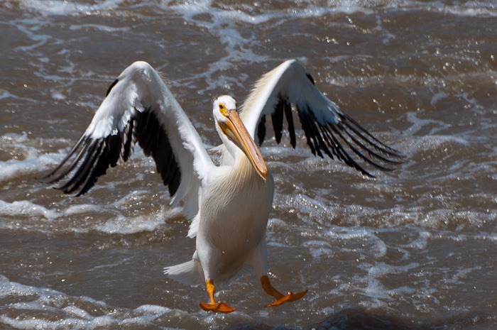 Hey! Not so fast! Hey! Not so fast!