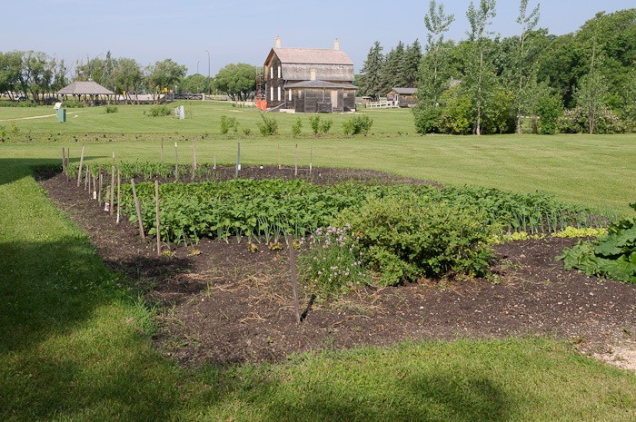 Kitchen garden Kitchen garden