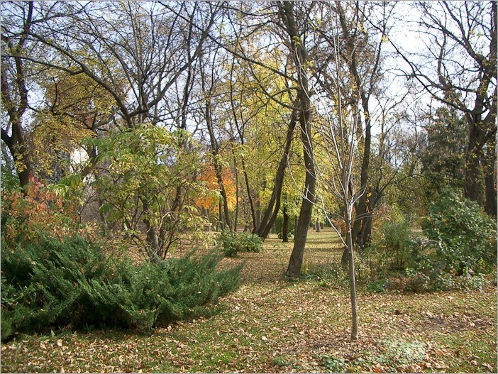 Turning of the season Turning of the season